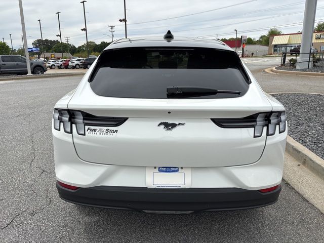 New 2026 White Ford Premium image 7