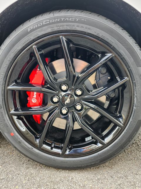 New 2026 White Ford GT image 12