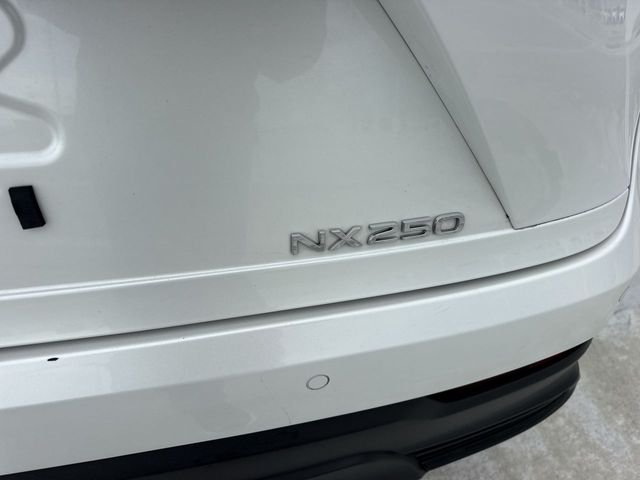 2025 Lexus NX - $39,998