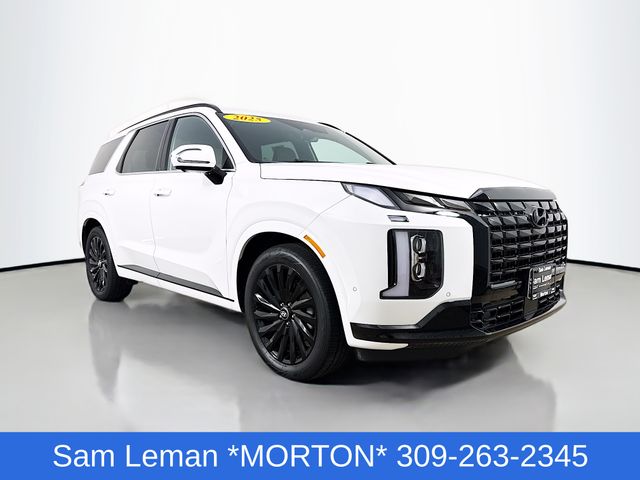 Hyper White 2025 Hyundai Palisade Calligraphy Night Edition AWD SUV / Crossover All-Wheel Drive 8-Speed Automatic