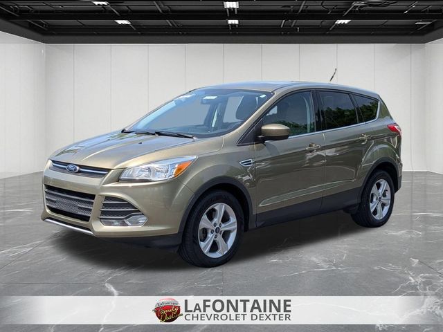 Ginger Ale Metallic 2014 Ford Escape SE FWD SUV / Crossover Front-Wheel Drive 6-Speed Automatic