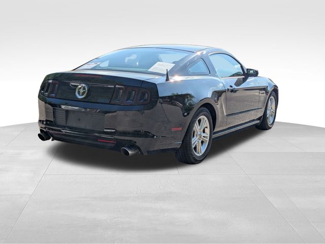 2014 Ford Mustang V6 photo