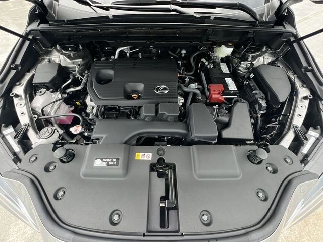 2025 Lexus NX - $40,998