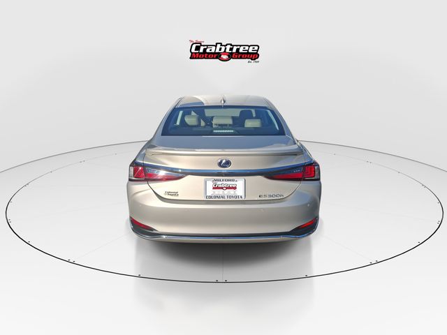 Used 2021 Lexus ES Sedan