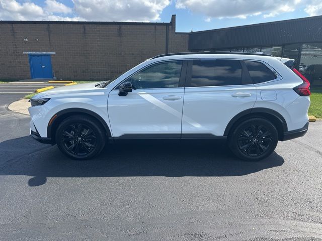 View vehicle photo 3