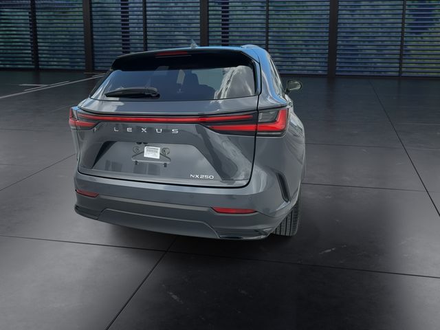 Used 2025 Lexus NX SUV