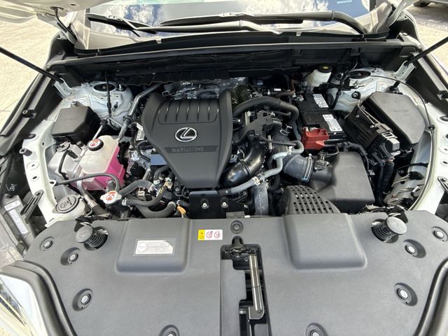 2024 Lexus NX - $44,898