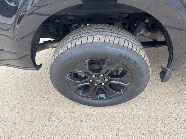 2023 Black Ford F-150 XLT 4X4 Truck