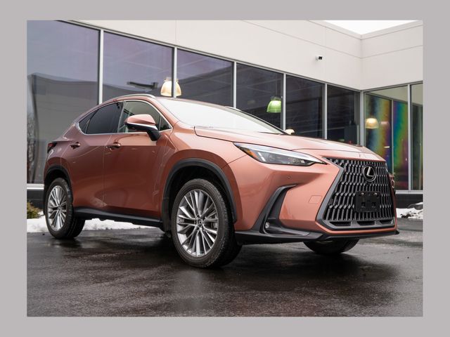 2025 Lexus NX Hybrid 350h Premium AWD