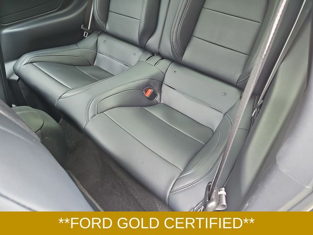 Used 2024 Gray Ford GT Premium image 14