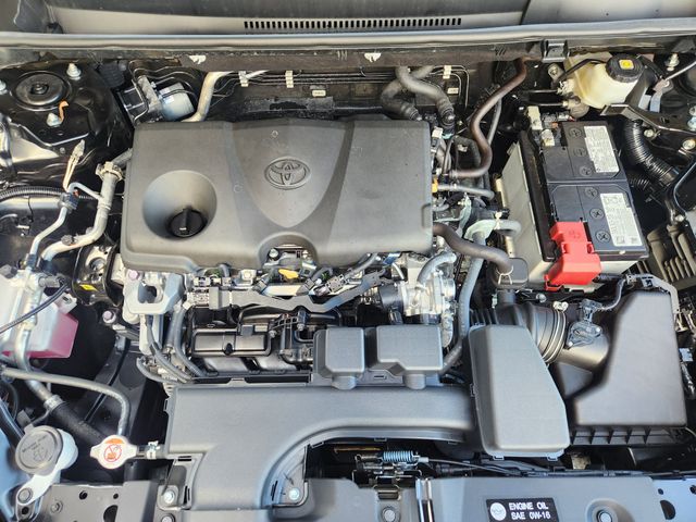 2025 Toyota RAV4 XLE Black at Don McGill Toyota