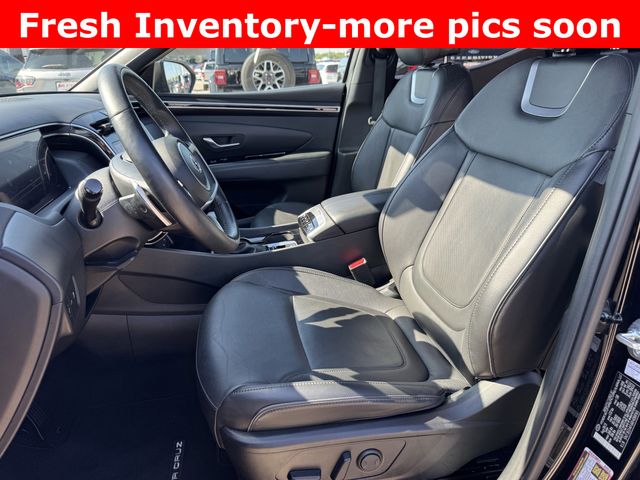 2024 Hyundai Santa Cruz Limited Black at Cook Ford