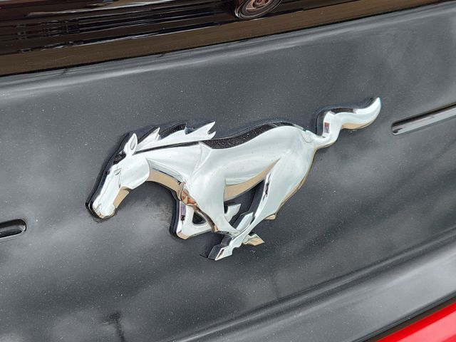 2023 Ford Mustang EcoBoost photo