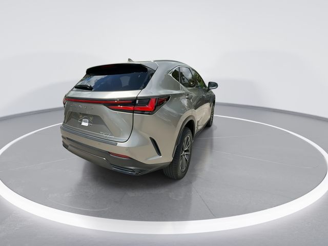 2025 Lexus NX - $45,998