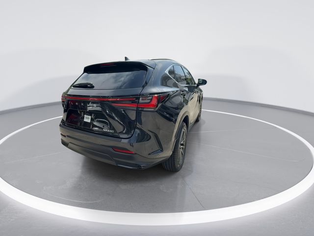Used 2024 Lexus NX SUV