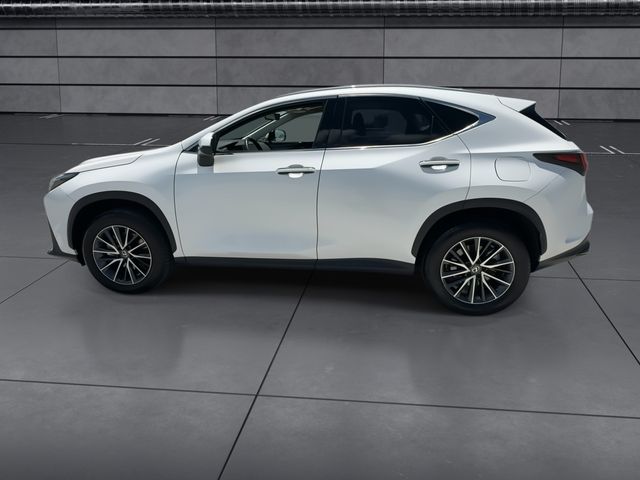 2024 Lexus NX - $40,998