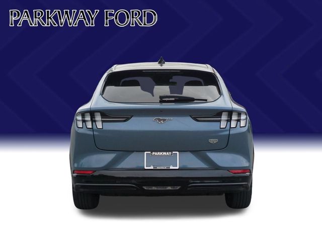 Used 2023 Blue Ford California Route 1 image 4