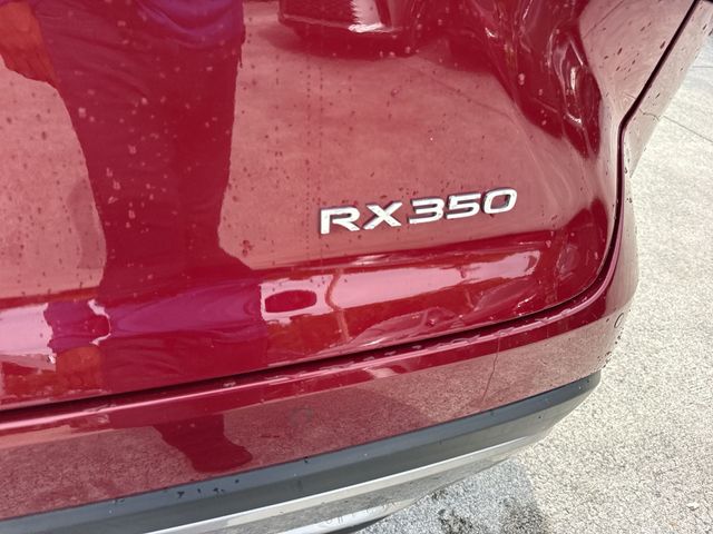 Used 2026 Lexus RX SUV
