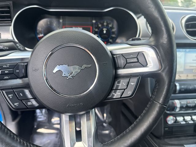 Used 2019 Blue Ford EcoBoost Premium image 17