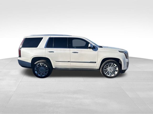 2020 Cadillac Escalade Platinum Edition 32