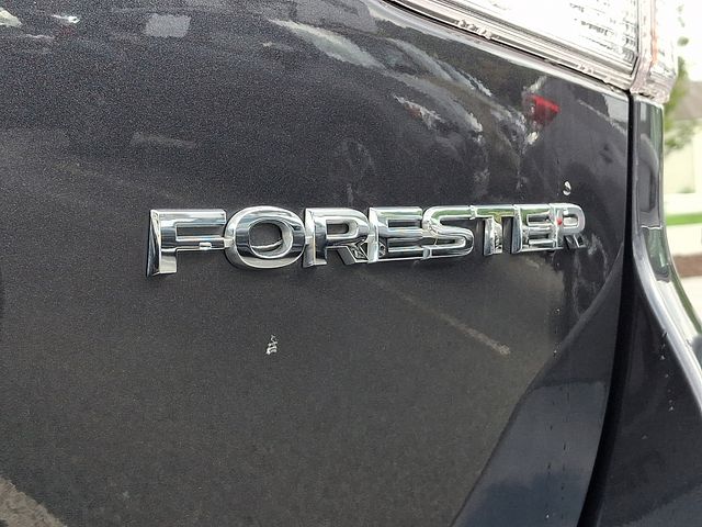 2019 Subaru Forester Limited Gray at Rafferty Subaru