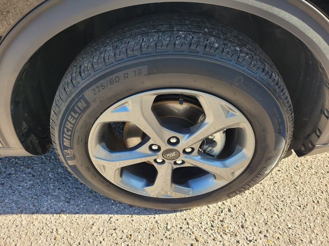 Used 2025 Black Ford ST-Line Select image 17