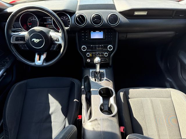 Used 2019 Ford Mustang Convertible
