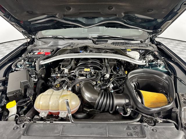 2019 Dark Highland Green Ford Mustang Bullitt RWD Coupe