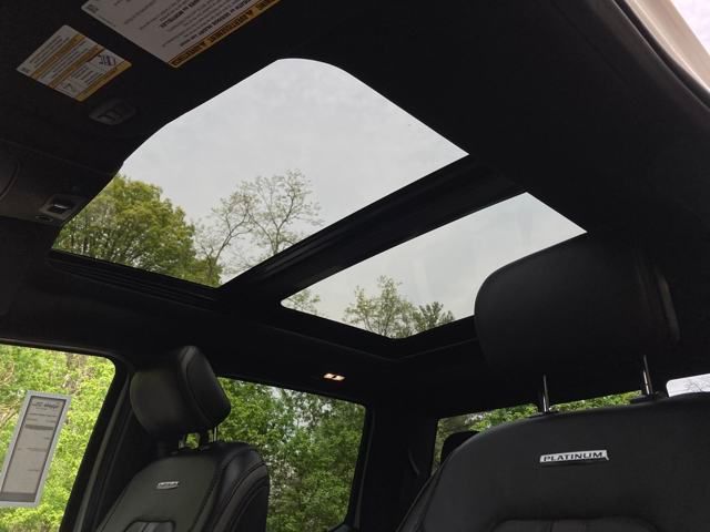 2020 Ford F-250 Super Duty Platinum