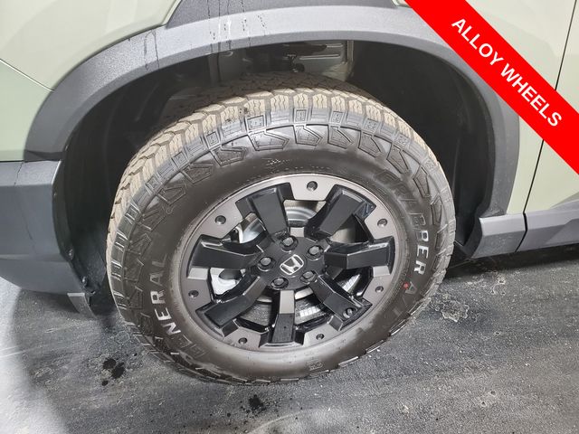 2026 Honda Passport TrailSport Elite photo
