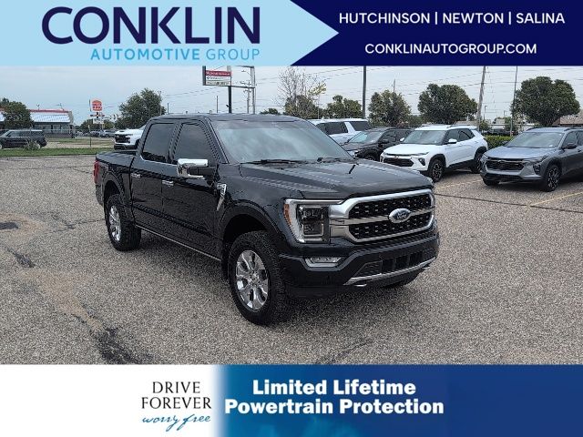 Blue Metallic 2022 Ford F-150 Pickup Truck Four-Wheel Drive Automatic