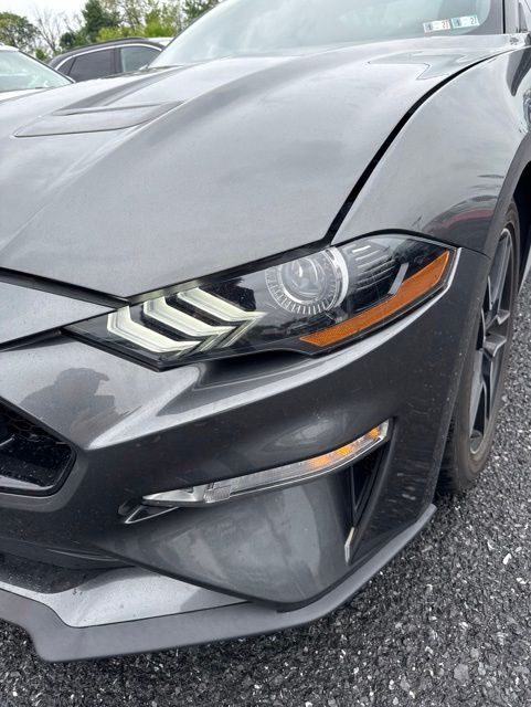 2019 Ford Mustang GT Gray at Grove City Ford