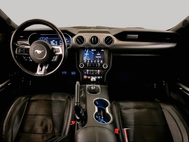 2019 Ford Mustang GT Premium Orange at Grove City Ford