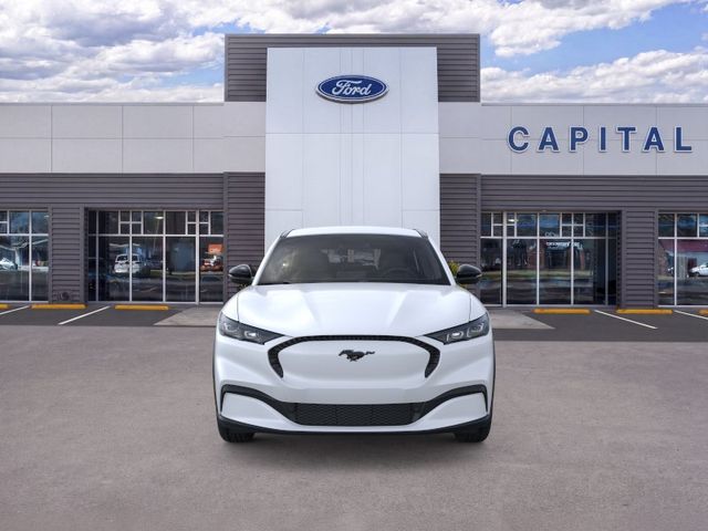 New 2026 White Ford Select image 6