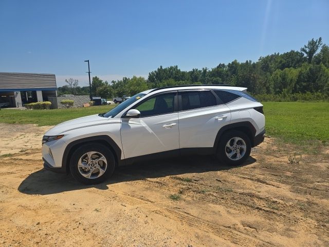 Used 2022 Quartz White Hyundai SEL image 3
