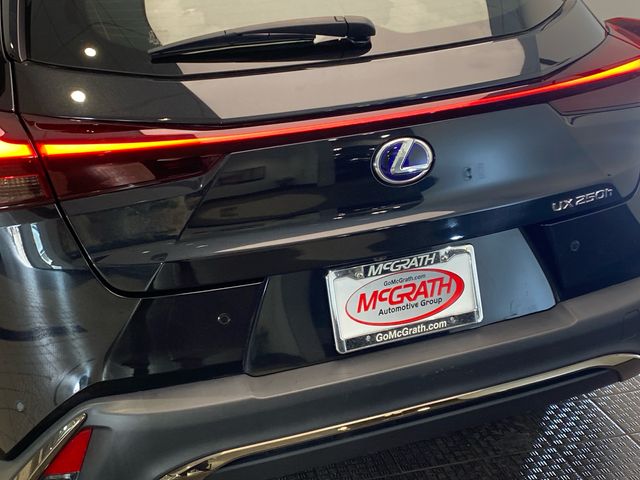 Used 2022  Lexus 250h F SPORT image 6