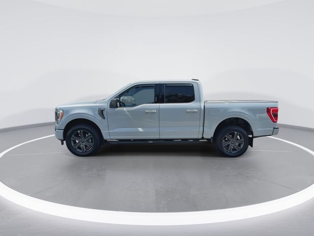 Used 2023 Ford F-150 Truck