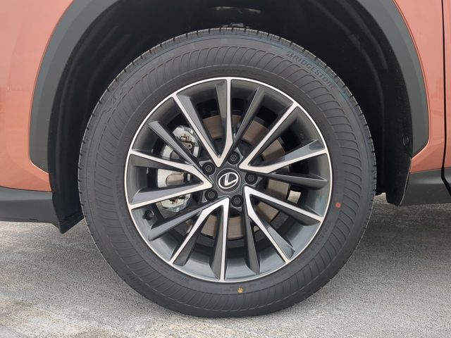 2025 Lexus NX - $39,888