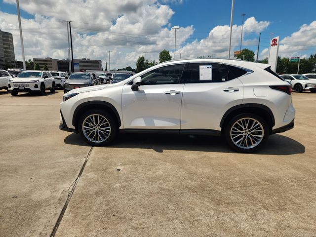 2025 Lexus NX 350 Premium White at Westside Lexus