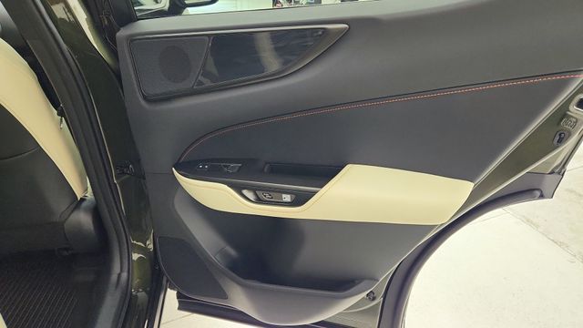 2023 Lexus NX 250 Premium Green at DeMontrond Auto Country