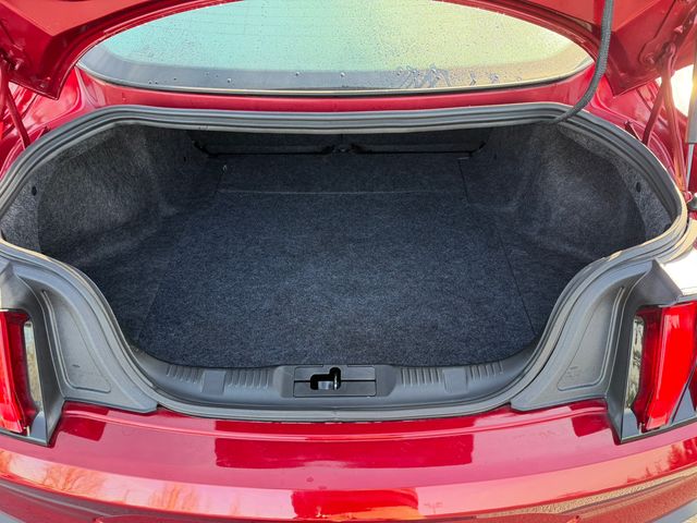 used 2019 Ford Mustang car, priced at $21,995