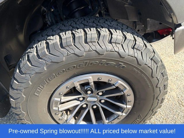 Used 2019 Ford Performance Blue Metallic Ford Raptor image 11