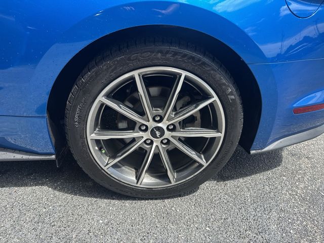 Used 2019 Blue Ford EcoBoost Premium image 33