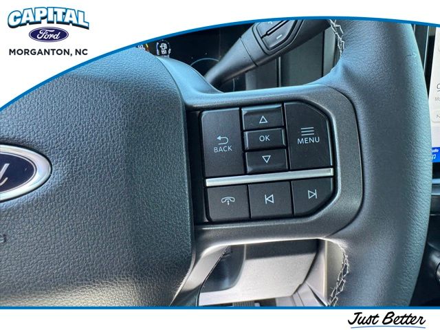 New 2026 Blue Ford Lariat image 19