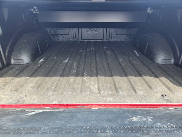 2024 Rapid Red Metallic Tinted Clearcoat Ford F-150 Platinum 4X4 Truck
