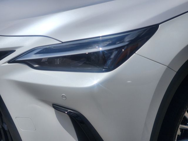 2025 Lexus NX 350 Premium White at Westside Lexus
