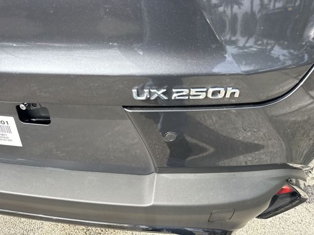 Used 2024 Lexus UX SUV