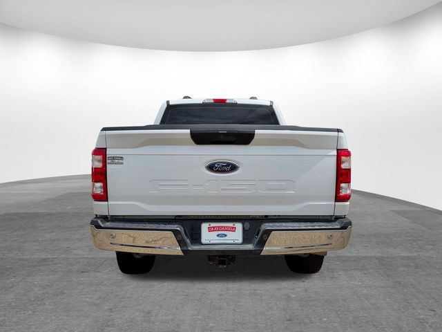 Used 2023 Ford F-150 Truck
