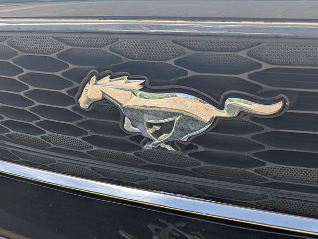 2014 Ford Mustang V6 photo