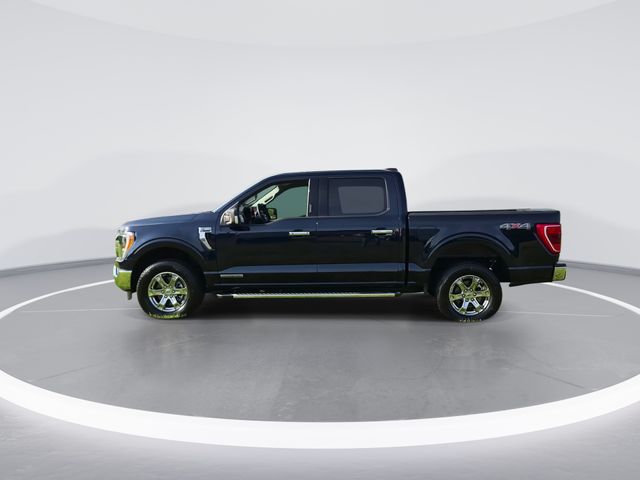 Used 2023 Blue Ford XLT image 5